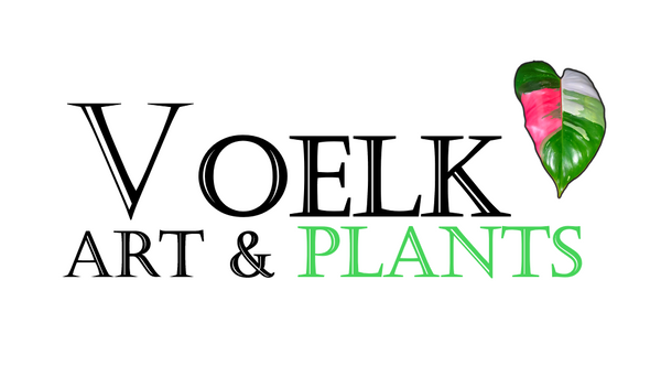🪴 Voelk Art & Plants Inc 🪴