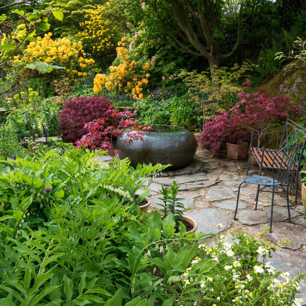 # Shady Garden Plants – Partial Sun & Shade Lovers