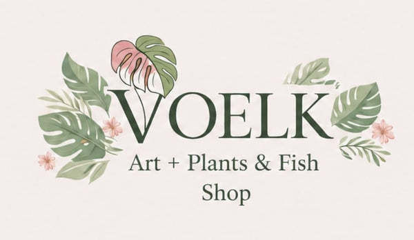 🪴 Voelk Art & Plants Inc 🪴