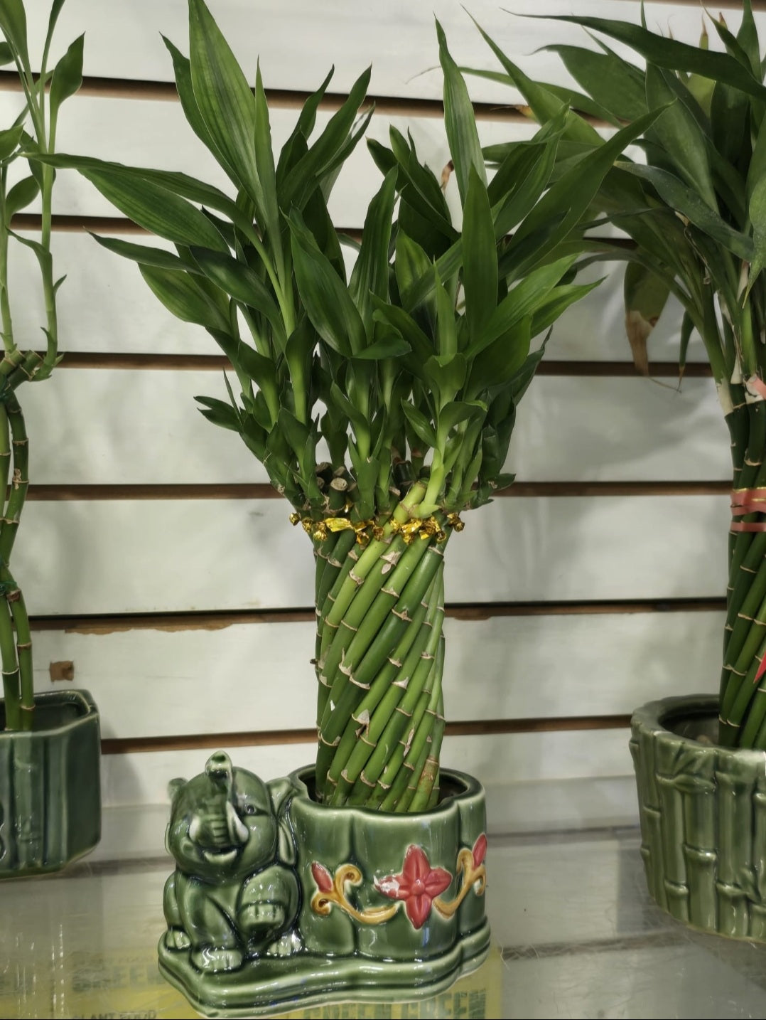 easy care Bamboo spiral base decoration for living room